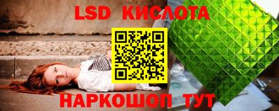 гашик Камышлов