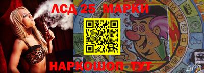 гашик Камышлов