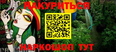 гашик Камышлов