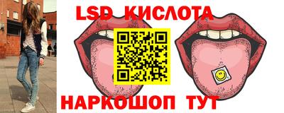 Альфа ПВП Кандалакша