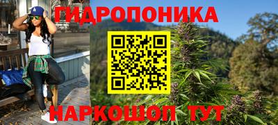 Альфа ПВП Кандалакша