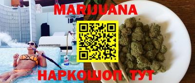 гашик Камышлов