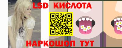 Альфа ПВП Кандалакша