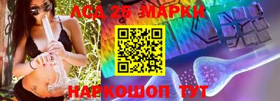 Альфа ПВП Кандалакша