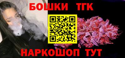 гашик Камышлов
