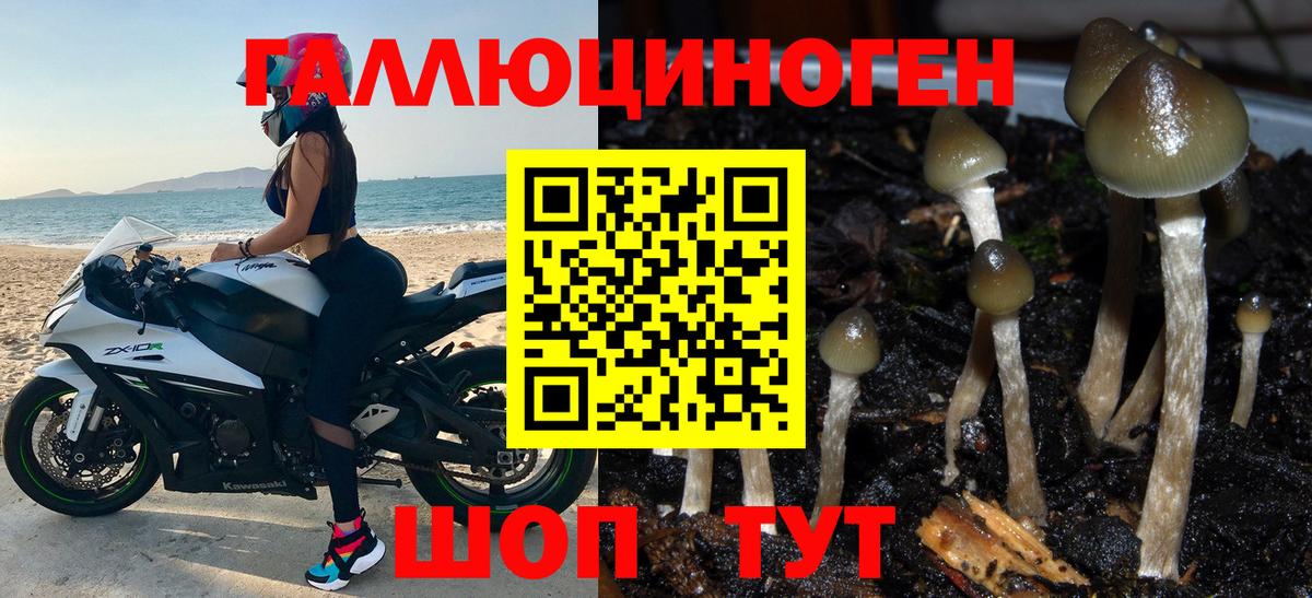 Псилоцибиновые грибы Magic Shrooms Дзержинский